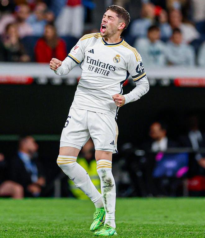 不仅展示了 不仅展示了