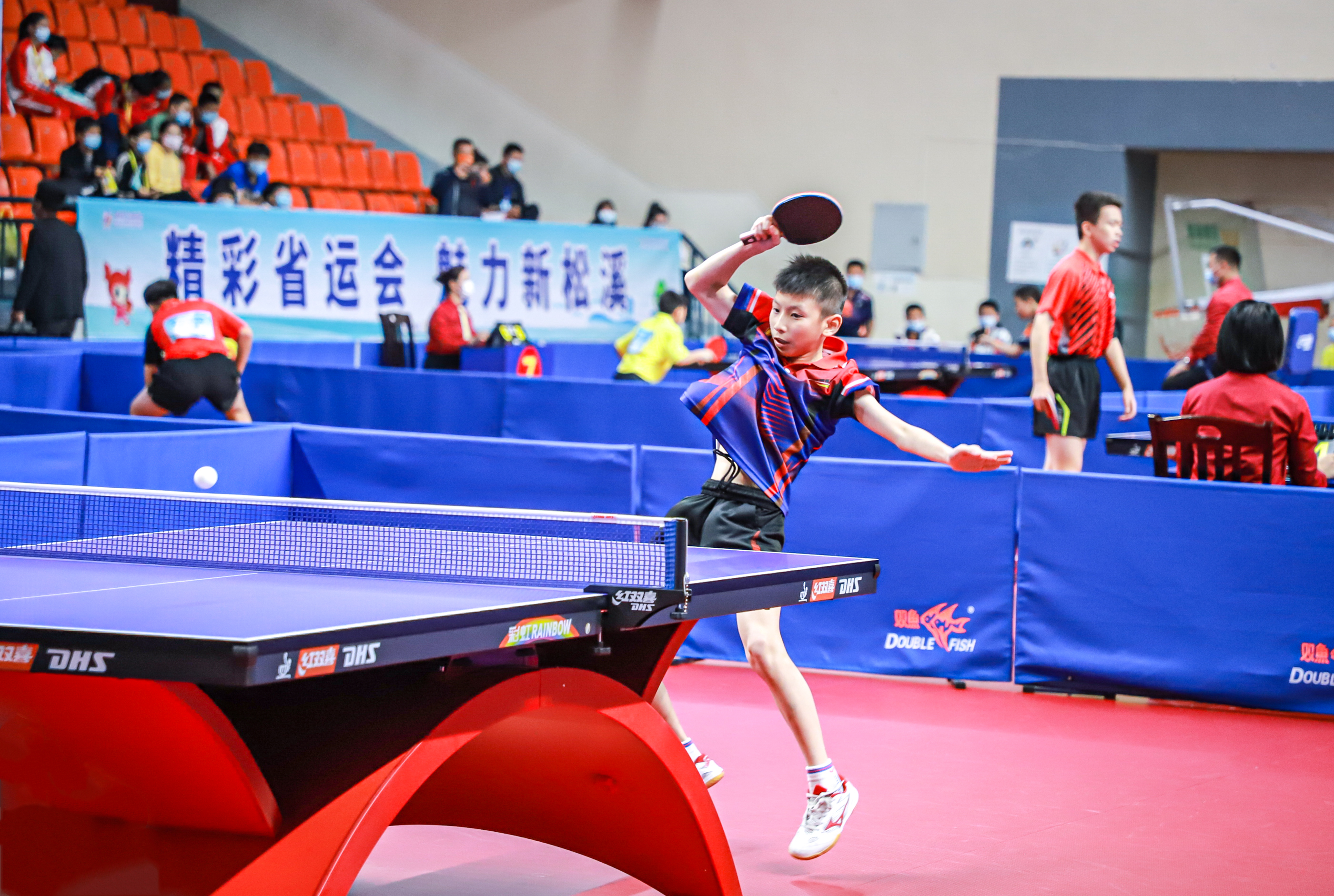 的法律依据 的法律依据